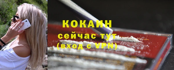 apvp Вяземский