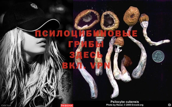 a pvp Вязники