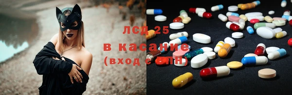 apvp Вяземский