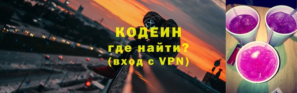 apvp Вяземский