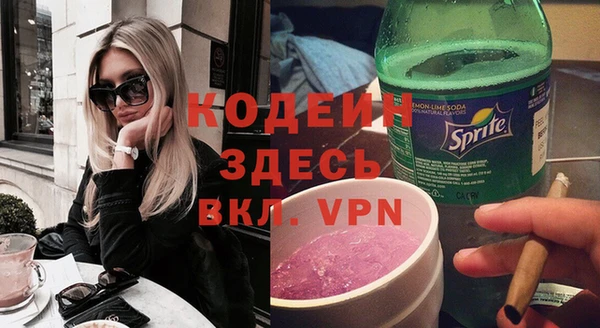 apvp Вяземский