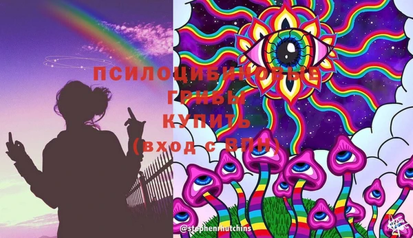 гидропоника Вязьма