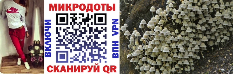 Галлюциногенные грибы Psilocybine cubensis  Купить  Петушки 